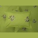 Zaitooni Baag Bedsheet