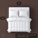 Meghbalika - Cloudy Grey Bedsheet 